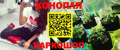 ешки Абинск