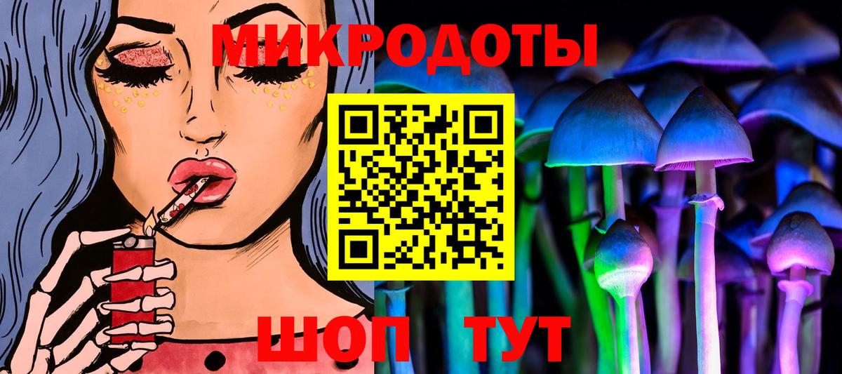 Галлюциногенные грибы прущие грибы Абакан